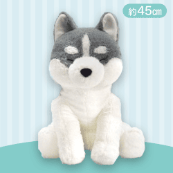 【グレー(目閉じ)】くったりシベリアンハスキー今日も元気BIG