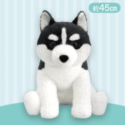 【ブラック】くったりシベリアンハスキー今日も元気BIG