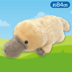 【はしマル】はしっこかものはしでないとBIG