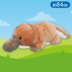 【はしのスケ】はしっこかものはしでないとBIG