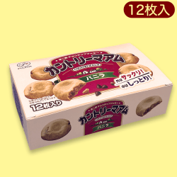 【バニラ】カントリーマアム 大人買いBOX※賞味期限:2023/5