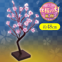 【ホワイト】満開 夜桜の灯 風雅