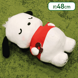 ポチャッコ まんぷく!ごろ寝超超BIG DXぬいぐるみ〜ポチャッコ〜