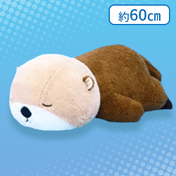 【ラッコ】すやすやねむっこ水族館ウルトラBIG