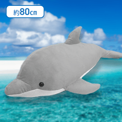 【バンドウイルカ】オーシャンワールドイルカウルトラBIG