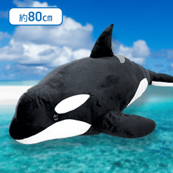 【シャチ】オーシャンワールドイルカウルトラBIG