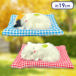 【ミケねこ&しろねこ】至福のニャン寝