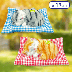 【キジねこ&トラねこ】至福のニャン寝