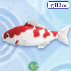 【紅白】リアルワールド錦鯉ウルトラBIG