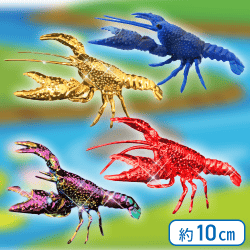 【メッキゴールド&メッキレッド&オーロラ&ブルー】生物図鑑キッズシリーズ リアルザリガニ6