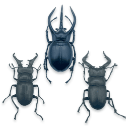 【コーカサスオオカブト&ミヤマクワガタ&ノコギリクワガタ】AMミュージアム昆虫フィギュア2