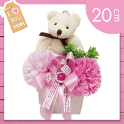 【ライトピンク&ピンク】ベアアレンジカーネ