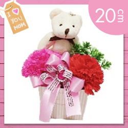 【ダークピンク&レッド】ベアアレンジカーネ