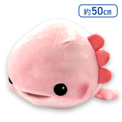 【ウパさん】シン・水族館しゅーごーぬいぐるみBIG