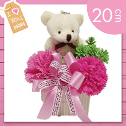 【ダークピンク&ピンク】ベアアレンジカーネ