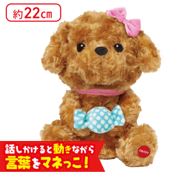 【ブラウン】喋る!動く!ものまねトイプー 7