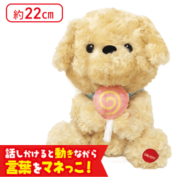 【クリーム】喋る!動く!ものまねトイプー 7