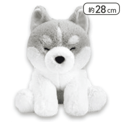 【ライトグレー(おねむ)】くったりシベリアンハスキーの赤ちゃんJB