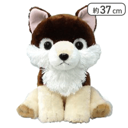 【ウルフィー】もふっとオオカミごきげんBIG