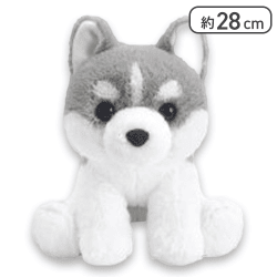 【グレー】くったりシベリアンハスキーの赤ちゃんJB