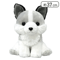 【シルヴァ】もふっとオオカミごきげんBIG