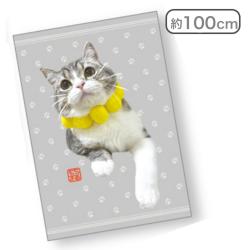 【ノーマル】もちまる マイクロファイバータオル