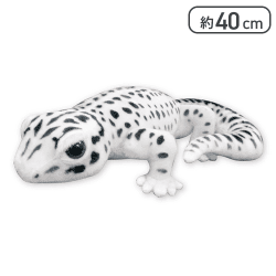 【スーパーマックススノー】りあるあにまるずヒョウモントカゲモドキ