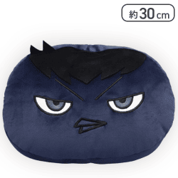 【カゲカラス】ハイキュー!! おひるねクッションー烏野ー