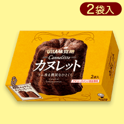 【ノーマル】カヌレットよくばりBOX※賞味期限:2024/3/31