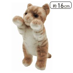 【エキゾチック】たっちぃZoo にゃんこmini9種アソート2