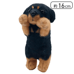 【ミニチュアダックスフンド】たっちぃZoo にゃんこmini9種アソート2