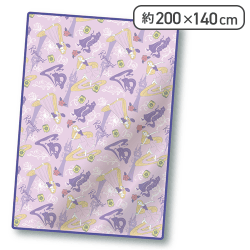 【ラプンツェル】ディズニープリンセス 超BIGマイヤー毛布2023