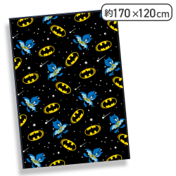 【バットマン】ワーナー100周年記念 マイヤー毛布2023