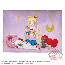 【ハローキティ】「美少女戦士セーラームーン」シリーズ×サンリオキャラクターズ プリントクッション vol.1