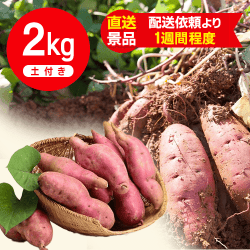 生芋 2kg 箱入り土付き