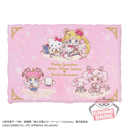 【ピンク&ホワイト】「美少女戦士セーラームーン」シリーズ×サンリオキャラクターズ プリントクッション vol.2