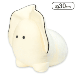 【なまがき】つぶらな瞳の和食屋 むぎゅぬいおっきめ なまがき よちよち