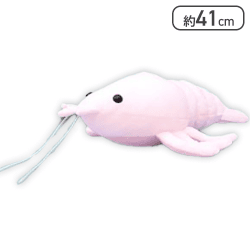 【ホワイト】くったり伊勢エビ3JB