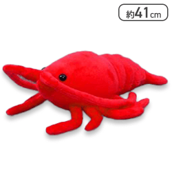 【レッド】くったり伊勢エビ3JB