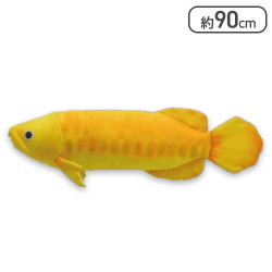 【黄龍】リアルワールドアロワナウルトラBIG