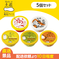 【5個セット】冬の果物アイス