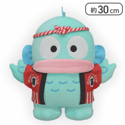 ハンギョドン お誕生日だよ!爆誕BIGぬいぐるみ