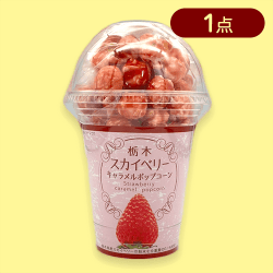 栃木スカイベリーキャラメルポップコーン※賞味期限:2024/10/10