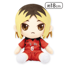 【孤爪研磨】ハイキュー!! オリジナルぬいぐるみvol.3