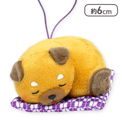 【豆三郎】豆しば三兄弟お布団でくつろぎVMC