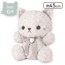 【6月】Happy Birthcolor Cat Roseboa BIG vol.1