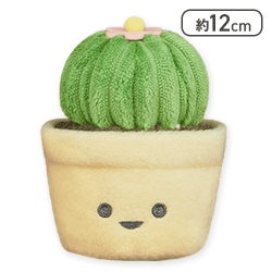 【玉サボテン】FANS 観葉植物ミニぬいぐるみ