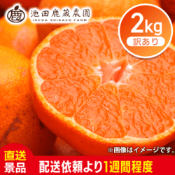 【2kg】わけあり有田みかん※数量限定:直送