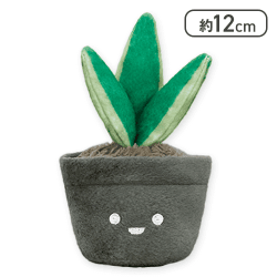 【サンスベリア】FANS 観葉植物ミニぬいぐるみ