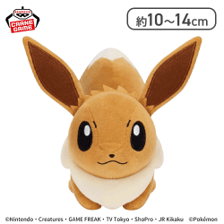 【イーブイ】ポケットモンスター ぬいぐるみ〜イーブイ・オタチ・ヒメグマ〜